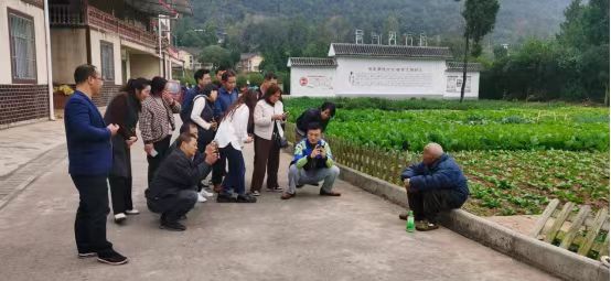 图片.jpg