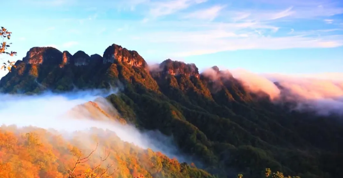 1773285191909261.png 1.png