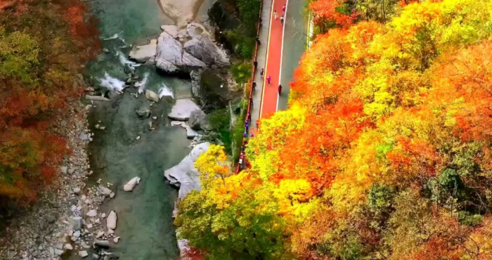 1773285199128992.png 2.png