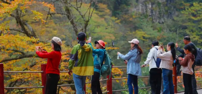 1773285207146910.png 3.png