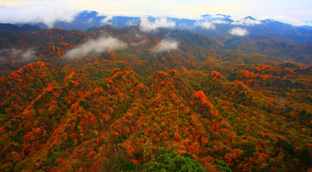 光雾山红叶