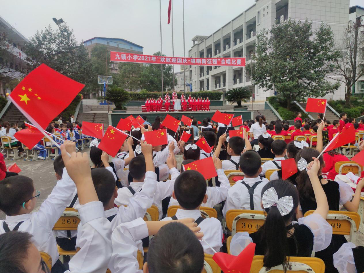 图片5