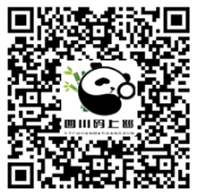 首页漂浮图片